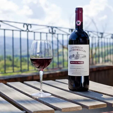 Castello Vicchiomaggio Greve in Chianti