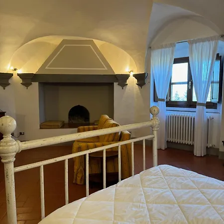 Castello Vicchiomaggio Farma *