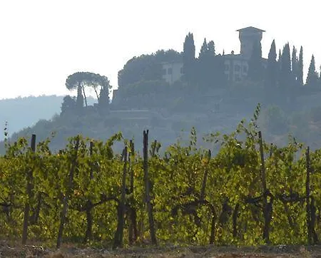Castello Vicchiomaggio *