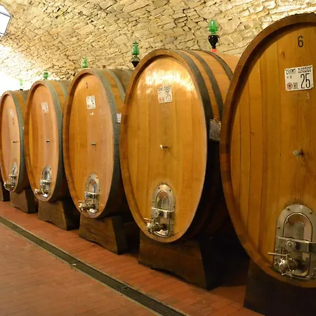 Castello Vicchiomaggio Greve in Chianti