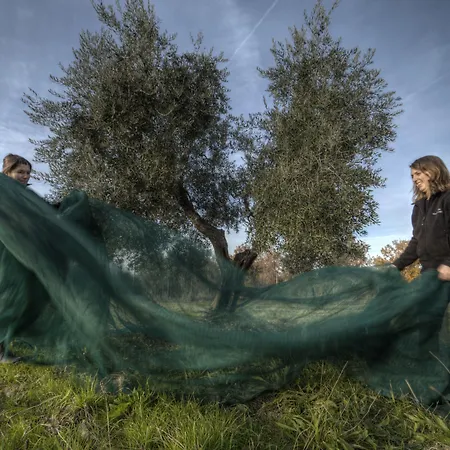 Çiftlik konaklama Castello Vicchiomaggio *