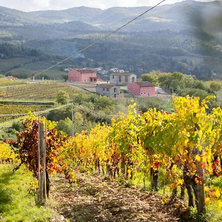 Castello Vicchiomaggio * Greve in Chianti