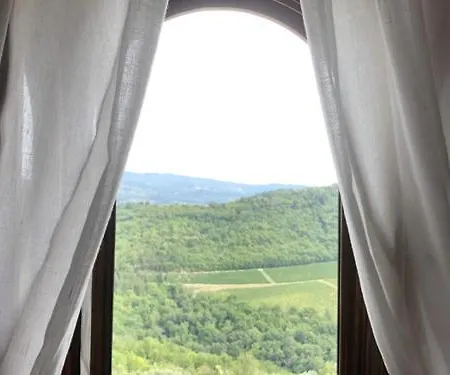 Farm stay Castello Vicchiomaggio Greve in Chianti